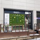 윈터블뷰티