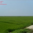 양사면사무소 이미지