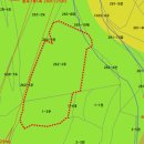 진부주유소 이미지