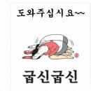 전국 고속도로 정보센터 또는지자체 에서 제공하는교통정보 알아보기