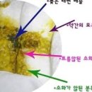 물똥 싸는이유 원인 물에 뜨는 똥 신생아 아기도 봐요 이미지