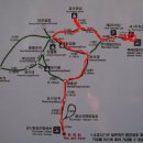 금화고속관광 이미지