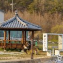 정자 반려견 이미지