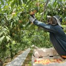 달우물농장 이미지