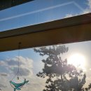 화성소방서 제부-2 | 제부도 오션뷰 카페 제부록 내돈내산 방문 후기 주차 정보