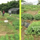 가족농원 이미지