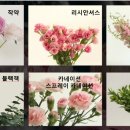플라워클래스 네이버블로그