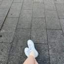 🇹🇼대만 타이베이 | 여행 2화(나홀로 펀트립 버스투어- 예스폭지)