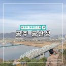 백제왕겨 | 충남 공주 가볼만한곳 공산성 관람 소요시간 및 주차장
