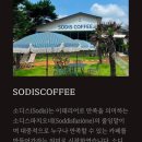 소디스에스프레소바구미 이미지