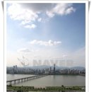 보라티비(주) 이미지