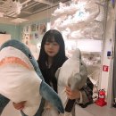 붙임머리 후기 일산 크레이지드레드