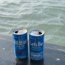 전남제일약국 | 목포 배낚시 후기 | 초보도 도다리 잡고 온 신세계갈치낚시