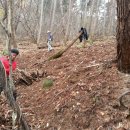 사니조아 이미지