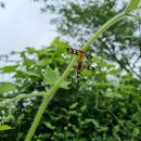 마령초등학교 이미지