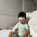 백합어린이집 | 👶🏻+785-6, 가정보육