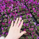 가온파츠 | 부산 연제구 ㅣ가온네일 시청네일 연산동네일 부산네일