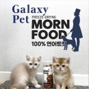 몬 펫 이미지
