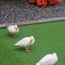 아리울캠핑장 이미지