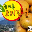 감귤PC 이미지