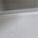 종로동물병원 이미지