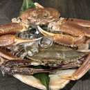 쿄칸 | 미무로스기(みむろ杉) at 마곡 쿄칸
