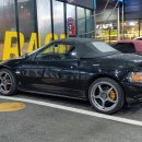 킹콩샤워 용인점 이미지