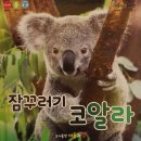 [아들과딸북클럽후기 송도점]추천도서 스마트 자연관찰1