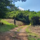서천 건지산성 | 사적 제 60호 서천 건지산성