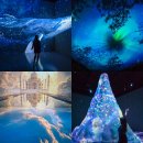 비자림라파 | 제주 동쪽 가볼만한곳 실내 1월 제주도 여행