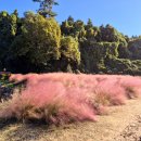 호크마어린이집 이미지