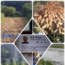 어진농장 이미지