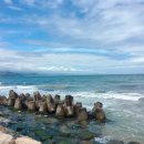 신항만 반점 이미지