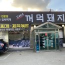 고씨네꺼먹돼지