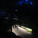 수피아조명