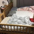 로앙쥬베베 이미지