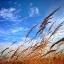 별헤는 밤 이미지