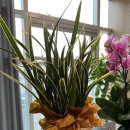 모두본한의원 이미지