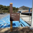 국립익산박물관 | 익산 국립박물관 방문 후기(feat.미륵사지석탑)