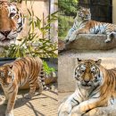 미호농장 이미지