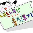 스타이용원 이미지