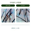 함양중학교 | [미니멀리스트의 맥시멈소비] 함양 두피쉼터 스케일링 후기