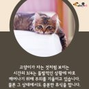 잠꾸러기 - 파주시 가재울로93번길 25-9 | 잠꾸러기