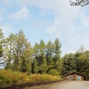 청태산자연휴양림 이미지