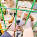 앙뜰민박