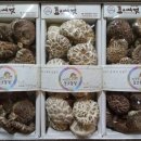 이상구표고농장 이미지