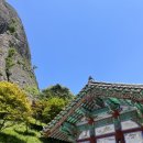 숭구리당당꽈배기 이미지