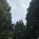 바리메 | 제주 서쪽 셀프웨딩스냅 위치 바리메오름 포토존 (+3분거리 궷물오름 포토존 포기 후기..)