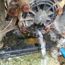 동준농장2 이미지