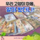 힐링캣 | 가낳지모 캣페어 세텍 동물힐링숲 펫마음카드 후기